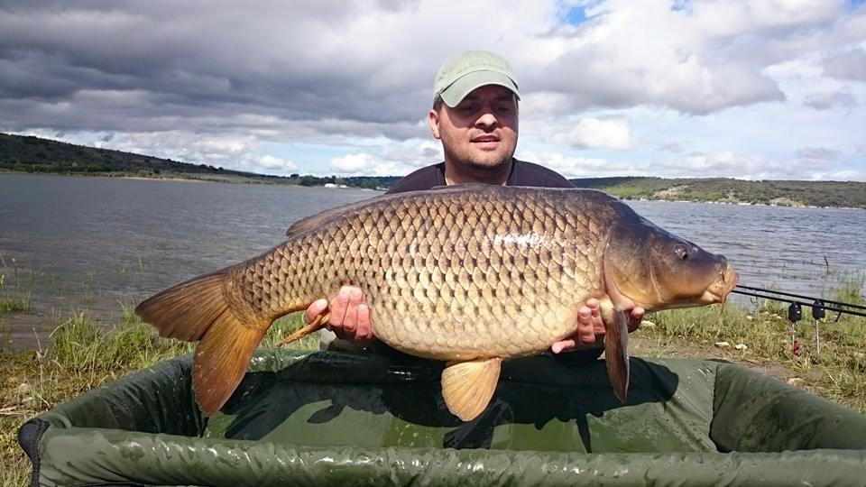 crap salbatic aprilie 2015 - 111400435451377722924092868847137485372726n.jpg